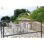 La Casa Tra Gli Ulivi
