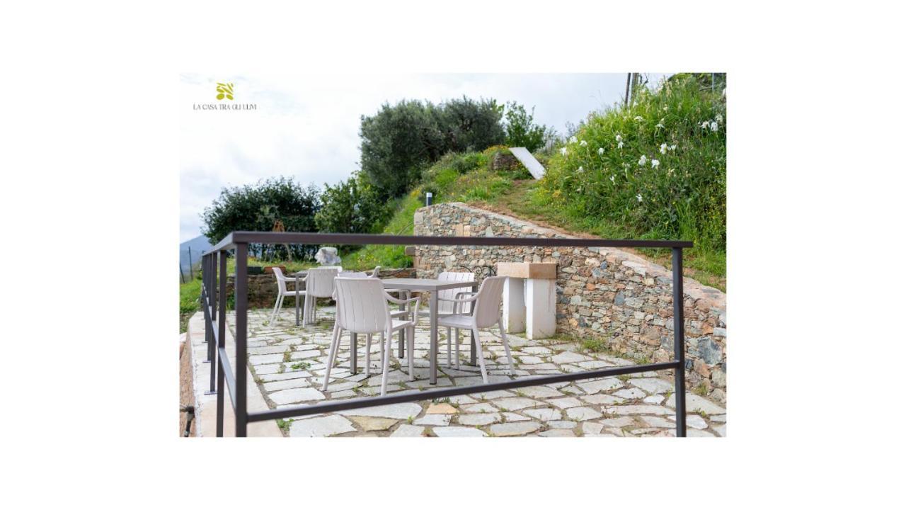 La Casa Tra Gli Ulivi *