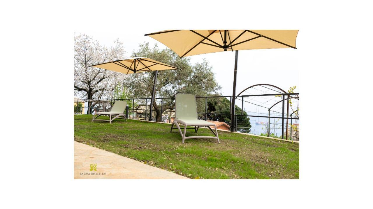 La Casa Tra Gli Ulivi Apartment