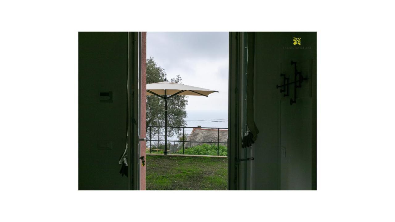 Appartamento La Casa Tra Gli Ulivi