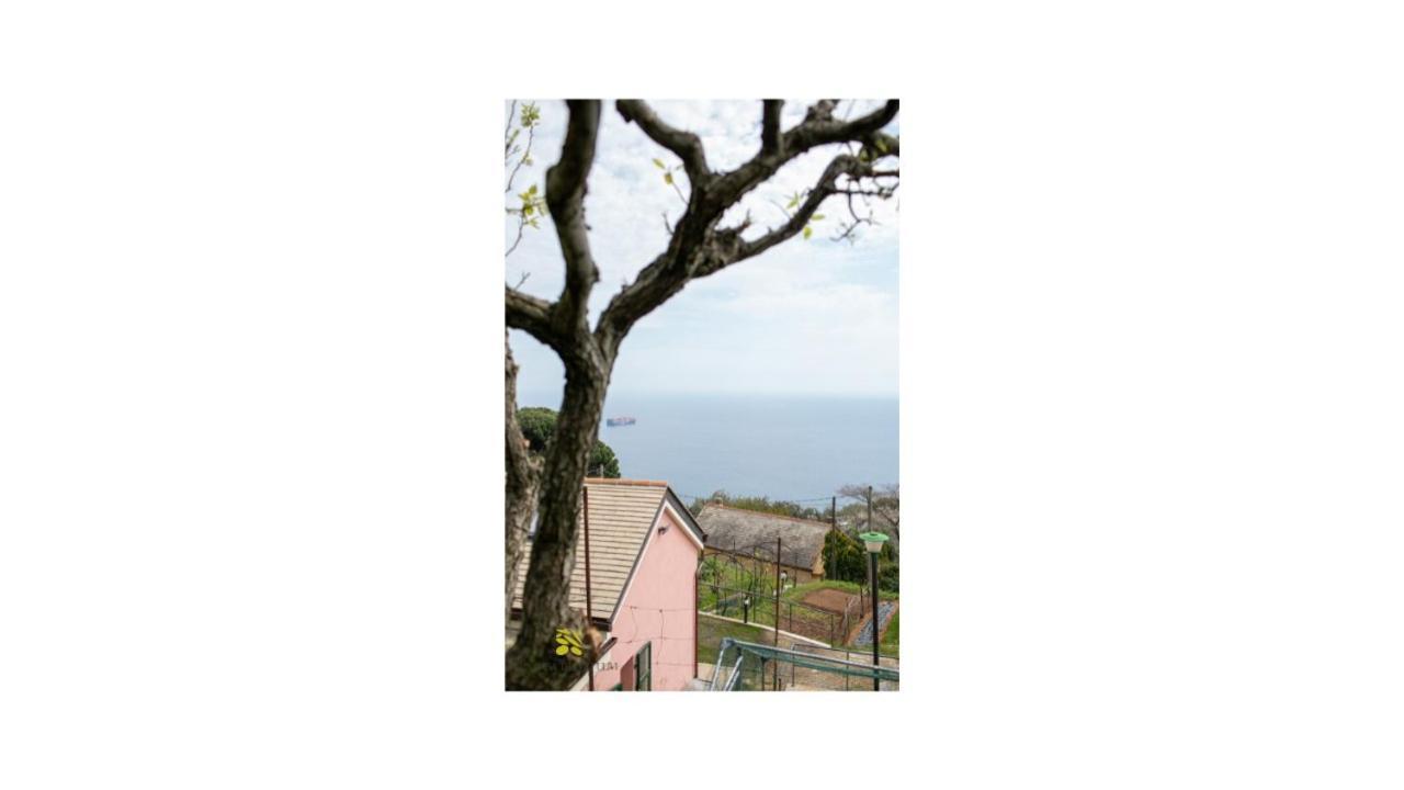 La Casa Tra Gli Ulivi Genova