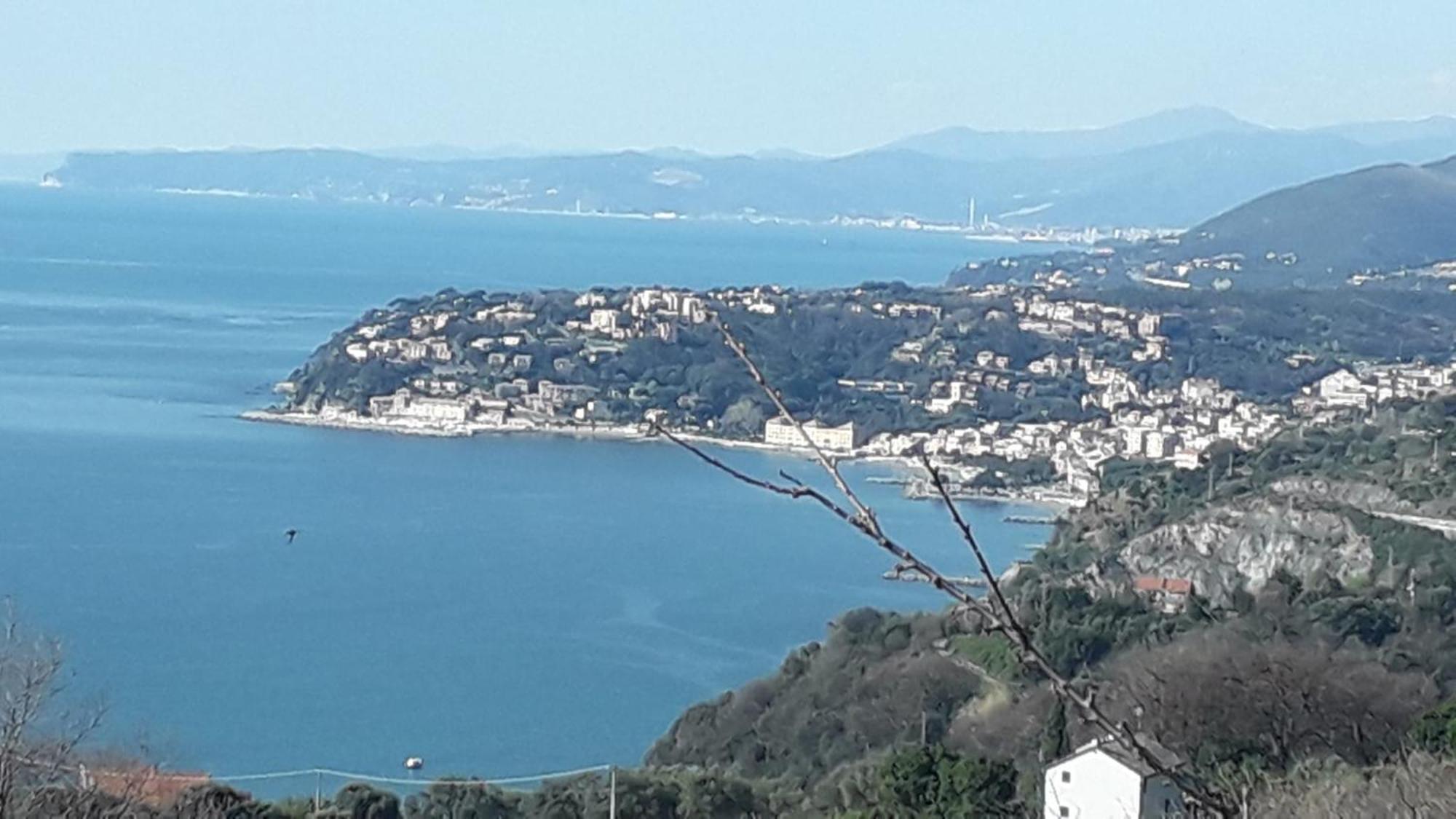La Casa Tra Gli Ulivi